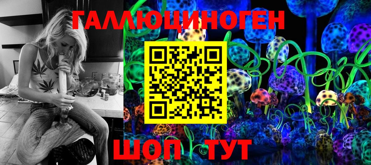 Дербент  Галлюциногенные грибы Cubensis  Вход с VPN  Галлюциногенные грибы Magic Shrooms 