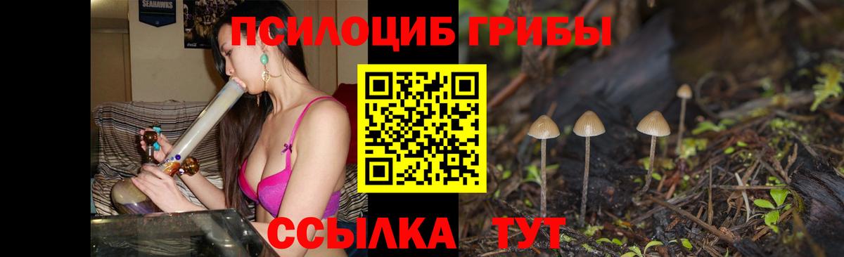 Конопля Дербент